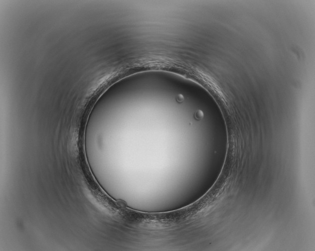 X0000111190538200907081258