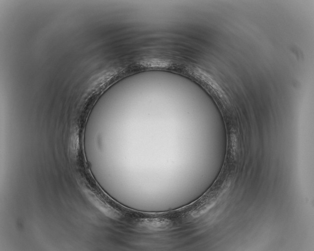 X0000111190541200907081258