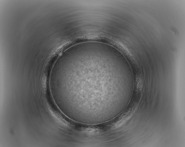 X0000111190542200907081258