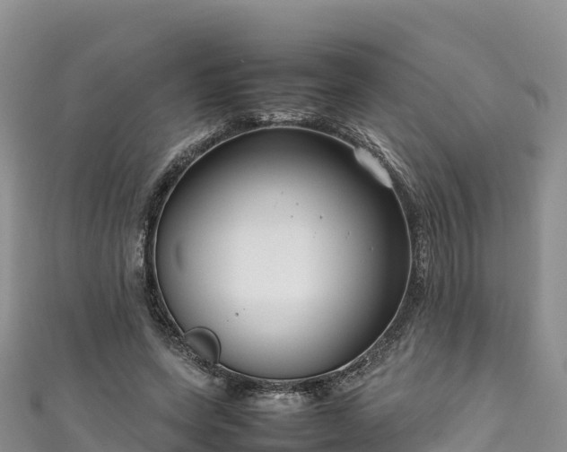 X0000111190543200907081258