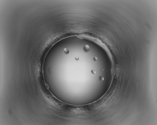 X0000111190544200907081258