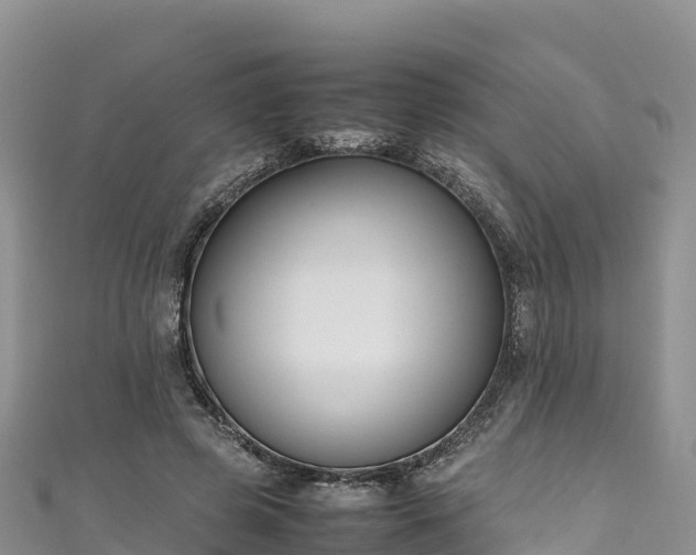 X0000111190545200907081258