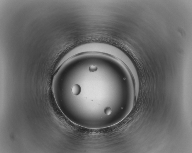 X0000111190546200907081258