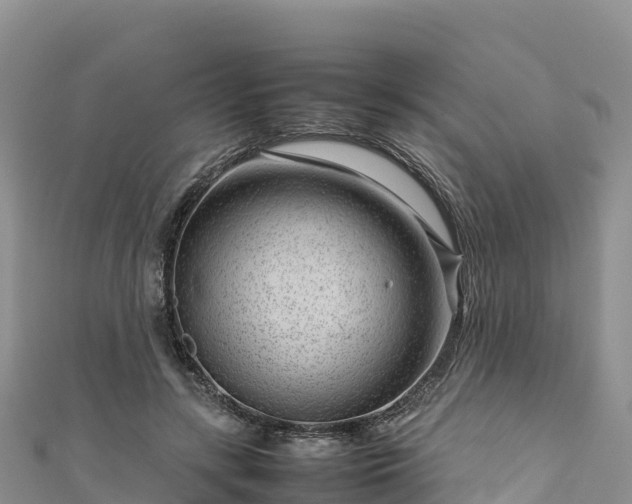 X0000111190547200907081258