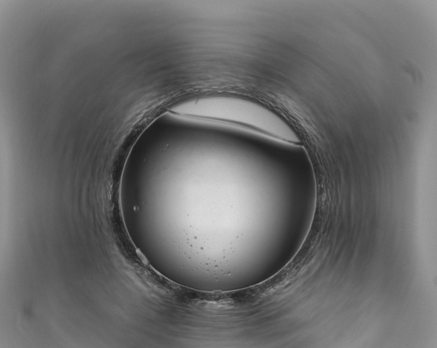 X0000111190548200907081258