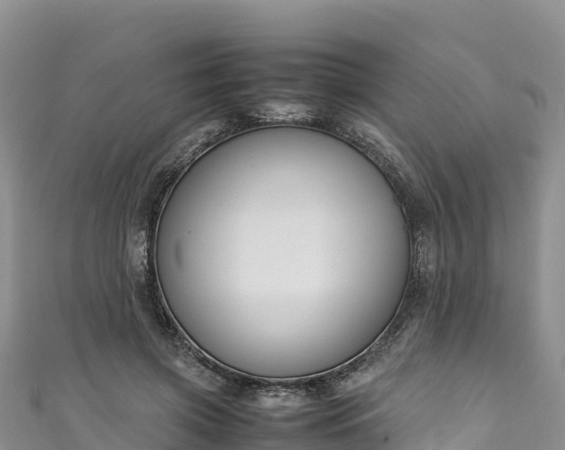 X0000111190549200907081258