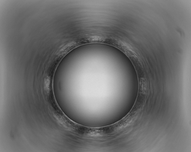 X0000111190550200907081258