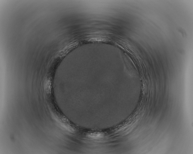 X0000111190551200907081258