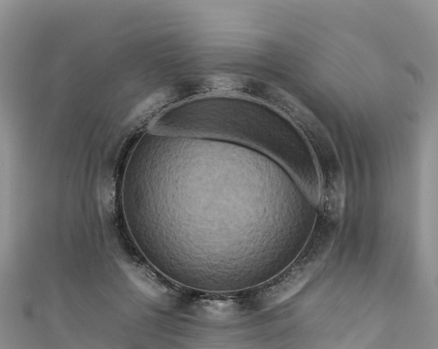 X0000111190552200907081258