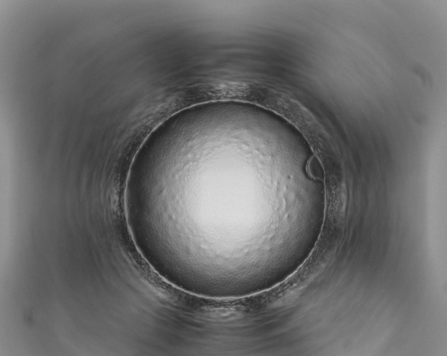 X0000111190553200907081258