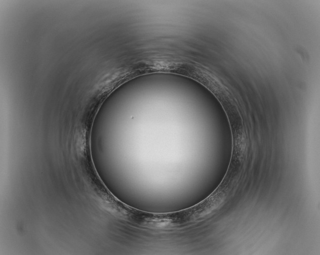 X0000111190554200907081258