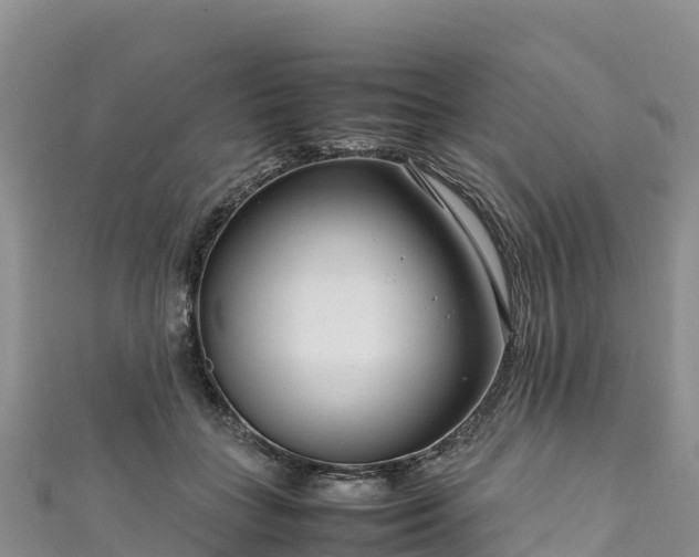 X0000111190555200907081258