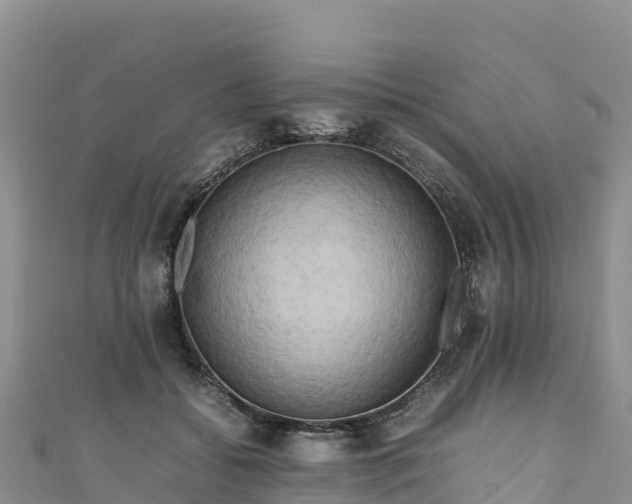 X0000111190556200907081258