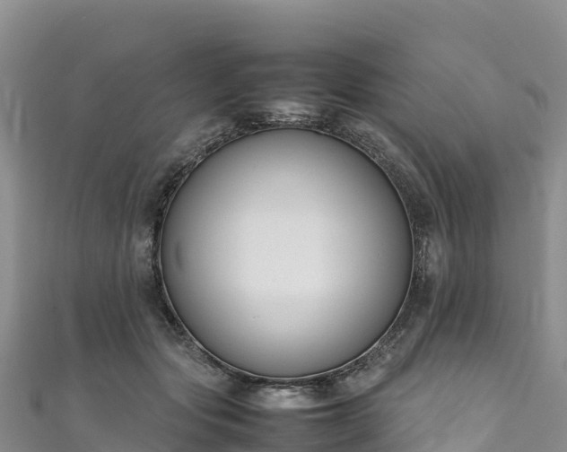 X0000111190557200907081258