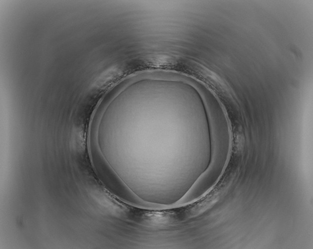 X0000111190558200907081258