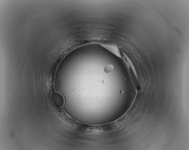 X0000111190559200907081258