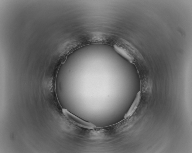 X0000111190560200907081258