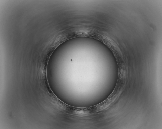 X0000111190561200907081258