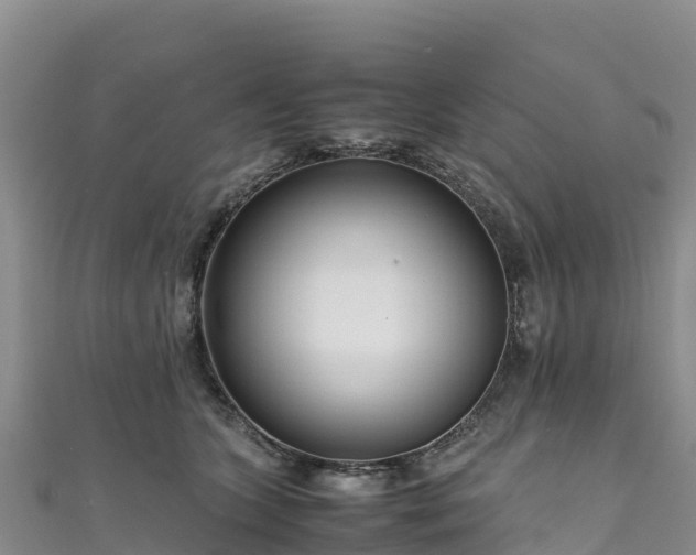 X0000111190563200907081258