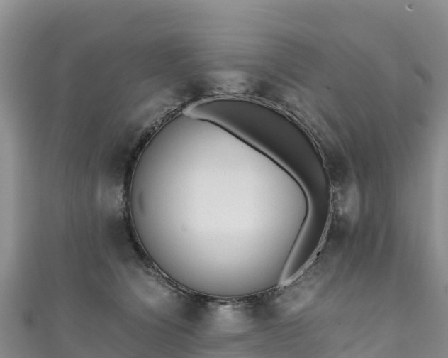 X0000111190564200907081258