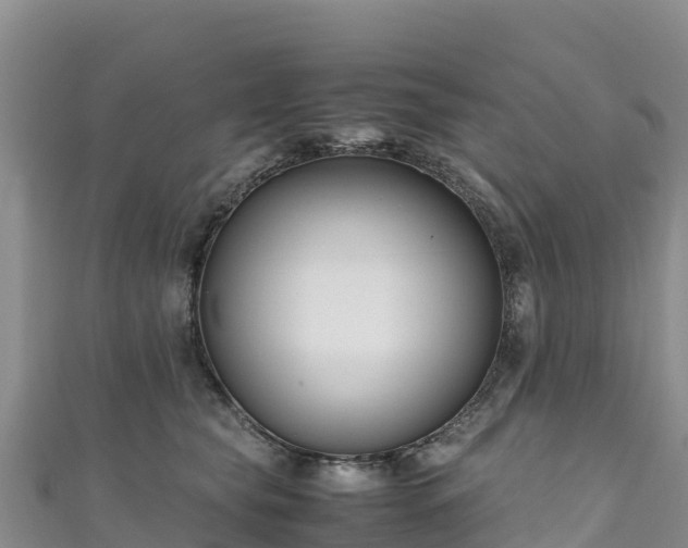 X0000111190565200907081258