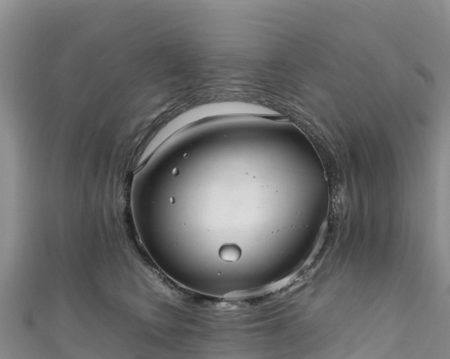 X0000111190566200907081258