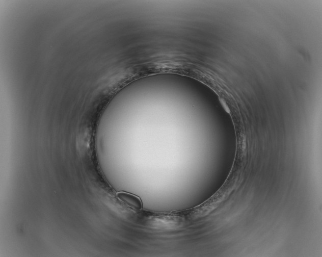 X0000111190567200907081258