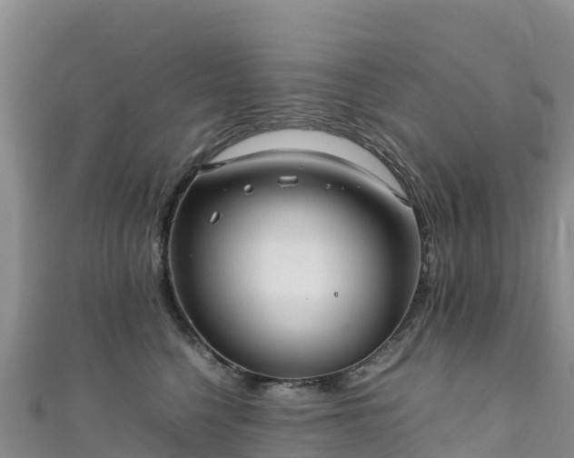 X0000111190568200907081258