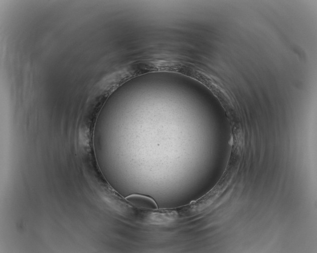 X0000111190571200907081258