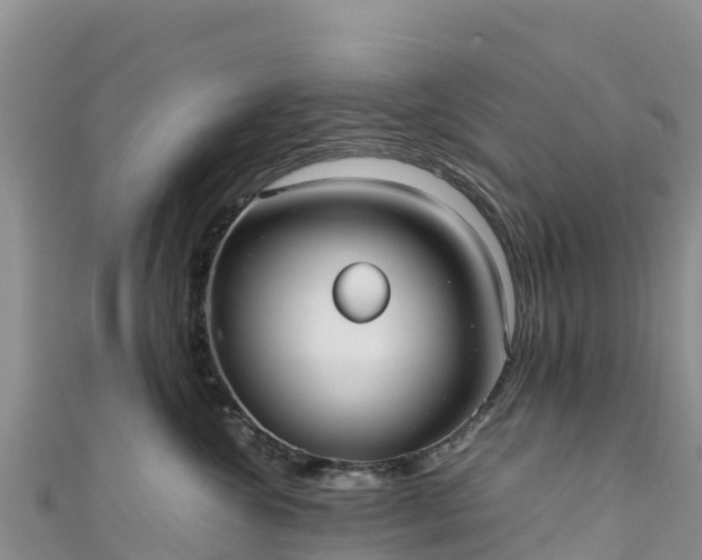 X0000111190572200907081258