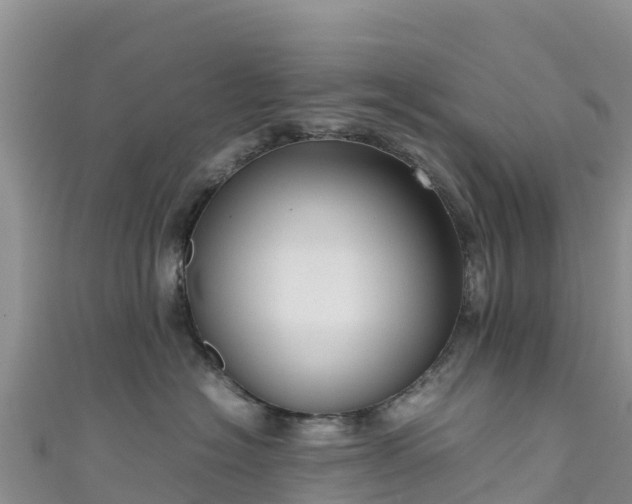 X0000111190574200907081258