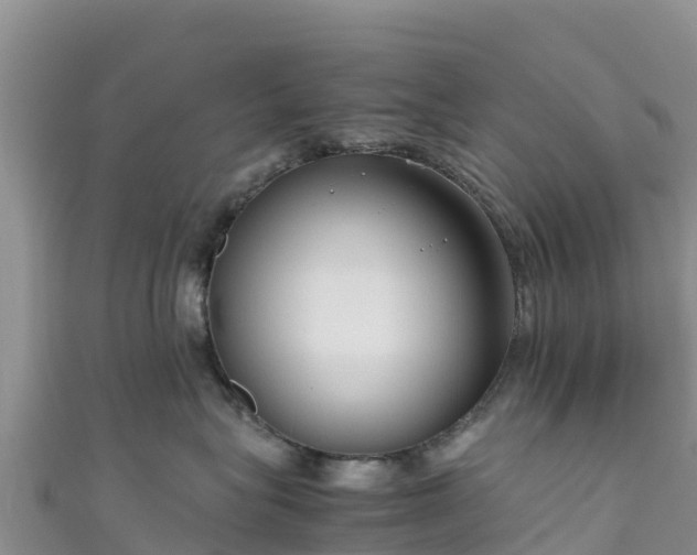 X0000111190575200907081258