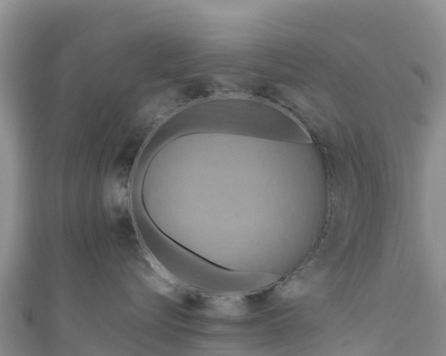 X0000111190576200907081258