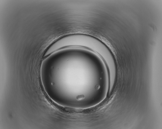 X0000111190577200907081258