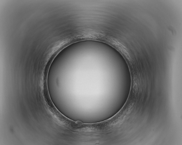 X0000111190578200907081258