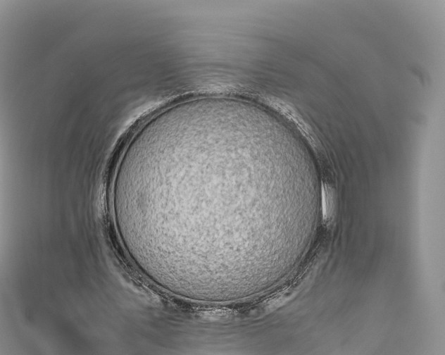 X0000111190579200907081258