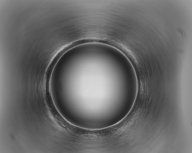 X0000111190580200907081258