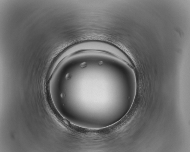 X0000111190581200907081258