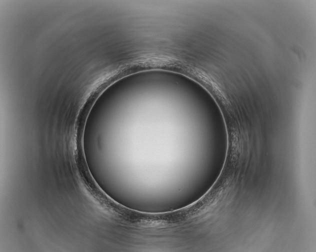 X0000111190582200907081258