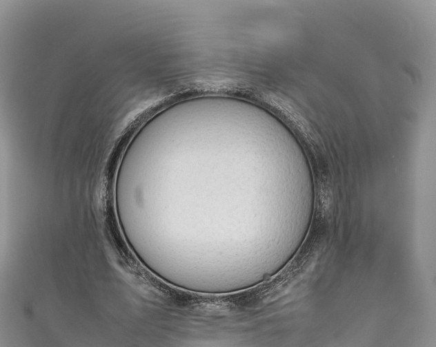 X0000111190583200907081258