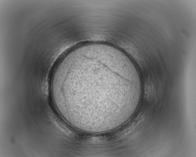 X0000111190584200907081258