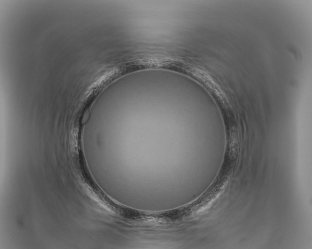 X0000111190585200907081258