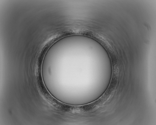 X0000111190587200907081258