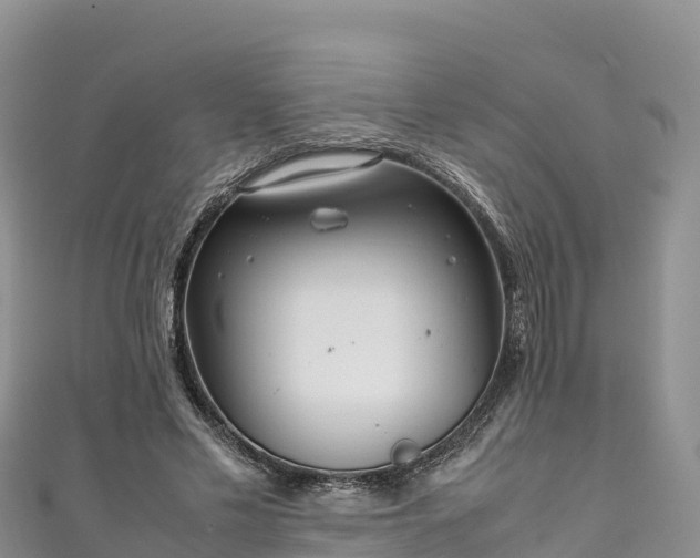 X0000111190589200907081258