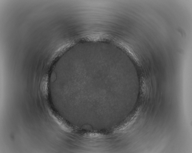 X0000111190590200907081258