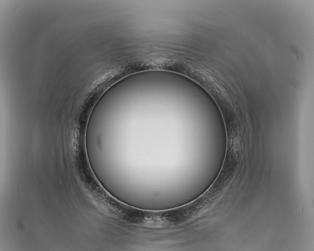 X0000111190591200907081258