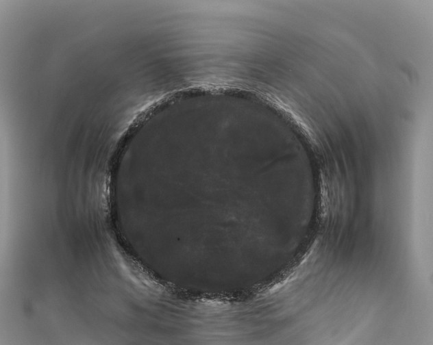 X0000111190592200907081258