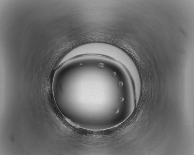 X0000111190593200907081258