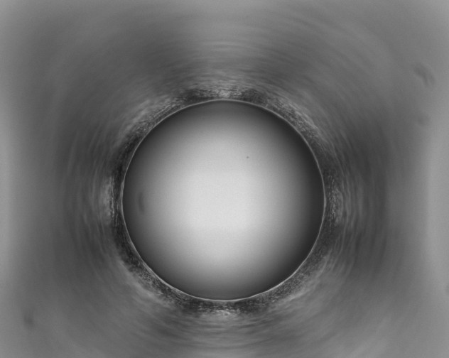 X0000111190594200907081258