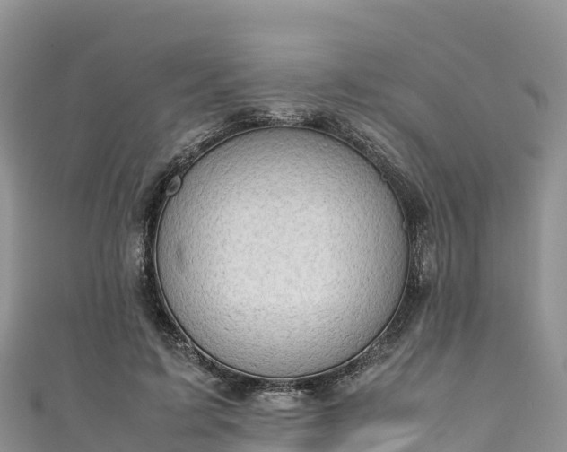 X0000111190595200907081258